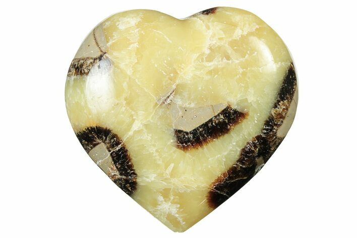 Polished Septarian Heart - Madagascar #205176